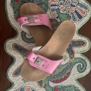 Dr Scoll’s Original wooden slides